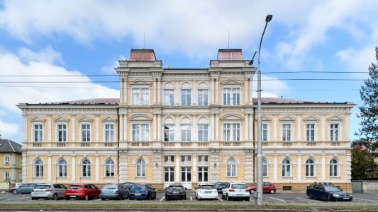  Zemská psychiatrická léčebna