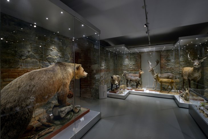 Muzeum císaře Františka Josefa I. pro umění a řemesla, nyní hlavní výstavní budova Slezského zemského muzea. Foto: Roman Polášek. Rok: 2010